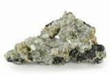 Fluorapatite and Siderite Crystals on Arsenopyrite - Portugal #239760-1